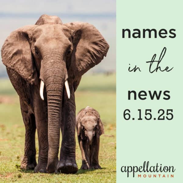 elephant parent and child; "names in the news 6.15.25"